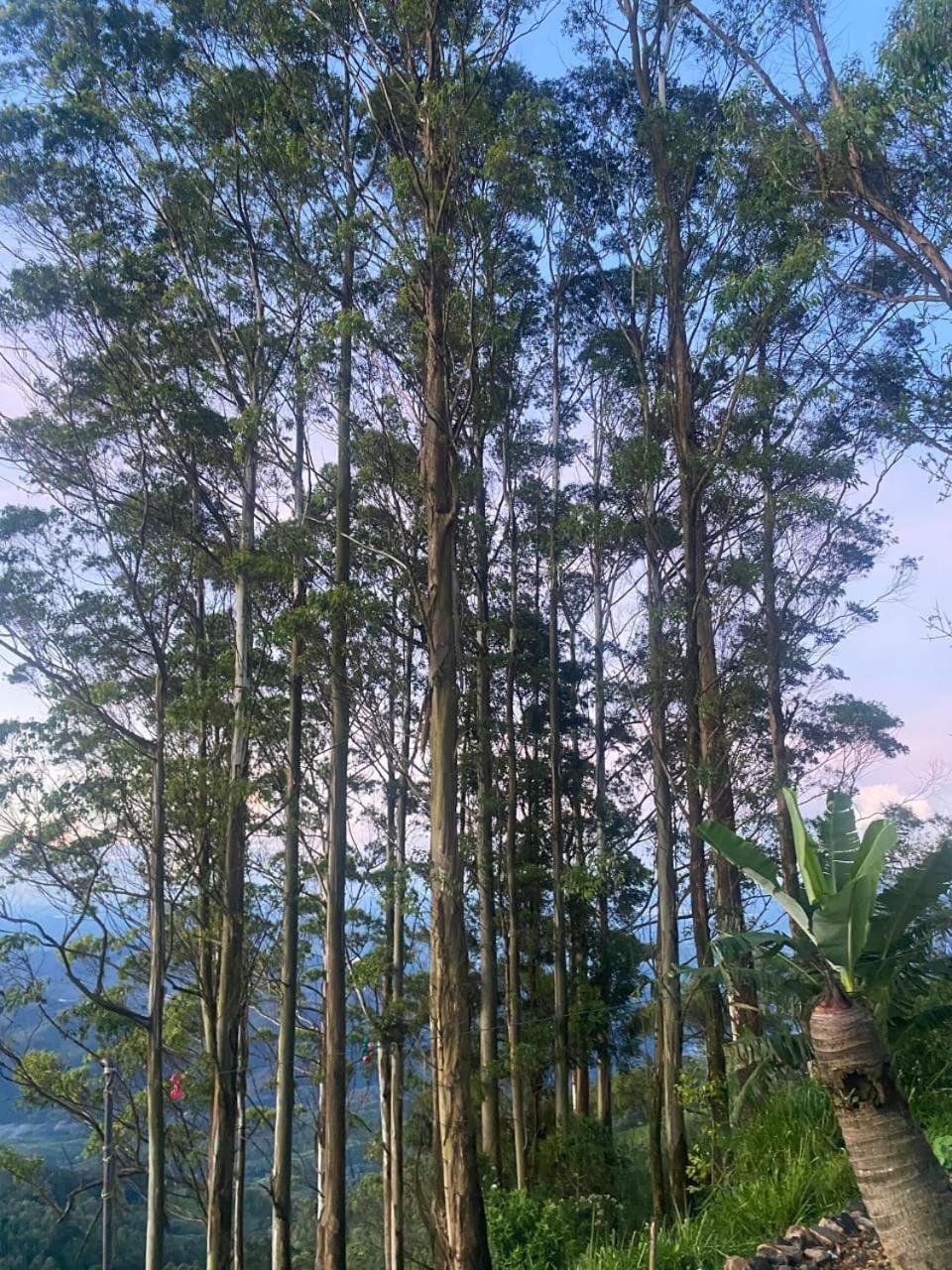 Bel View Guest House Haputale Exterior foto